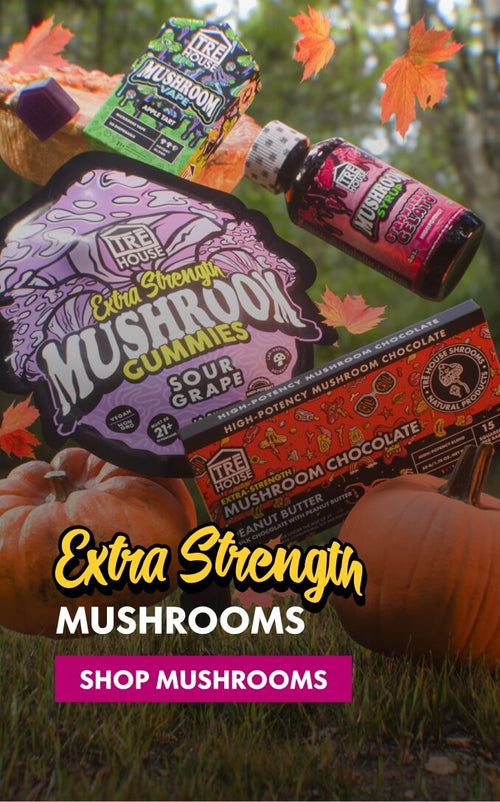 Shop magic mushroom edibles