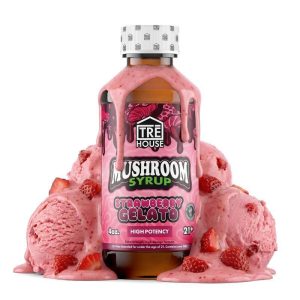 Strawberry Gelato Mushroom Syrup