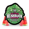 Watermelon Wonder Extra-Strength Mushroom Gummies
